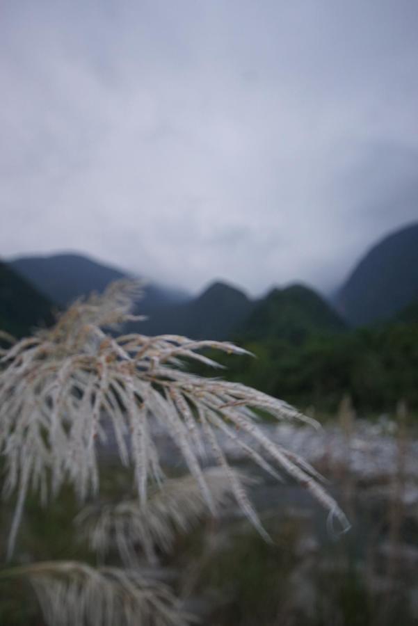 Songyue Homestay Jingmei Esterno foto